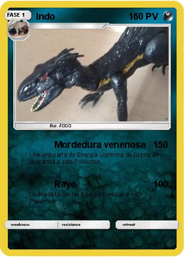 Pokemon Indo
