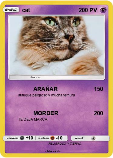 Pokemon cat