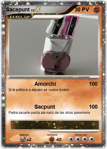 Pokemon Sacapunt