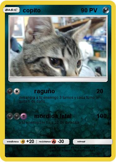 Pokemon copito