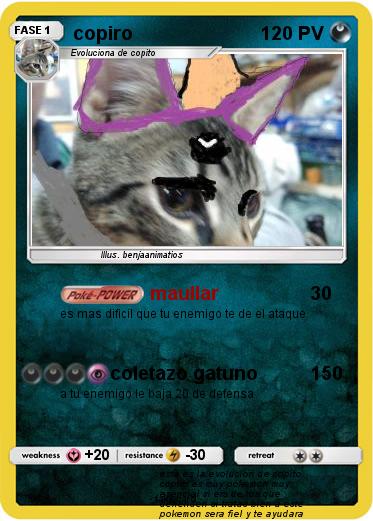 Pokemon copiro