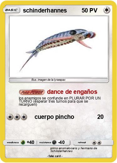 Pokemon schinderhannes