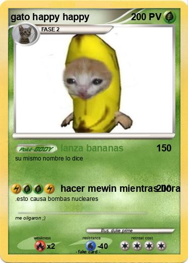 Pokemon gato happy happy