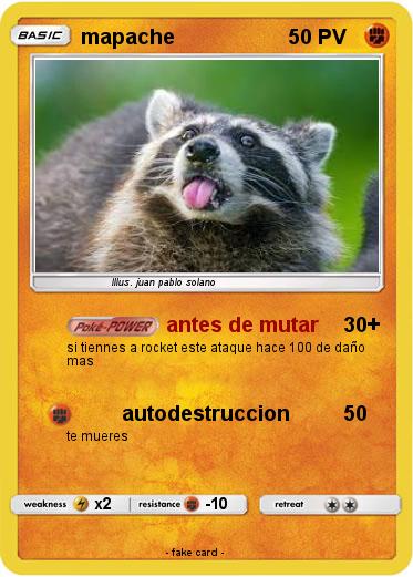 Pokemon mapache