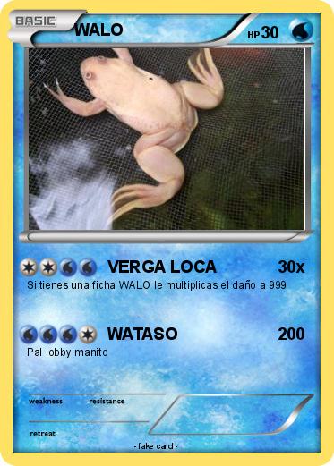 Pokemon WALO