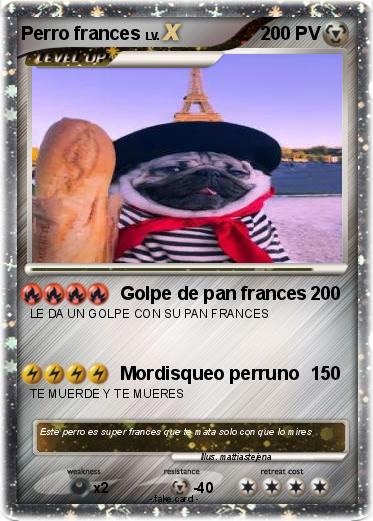 Pokemon Perro frances