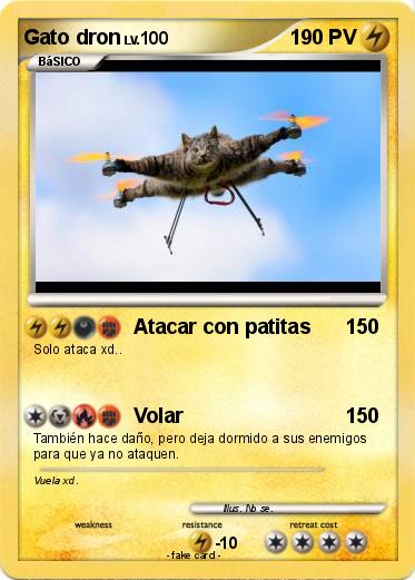 Pokemon Gato dron