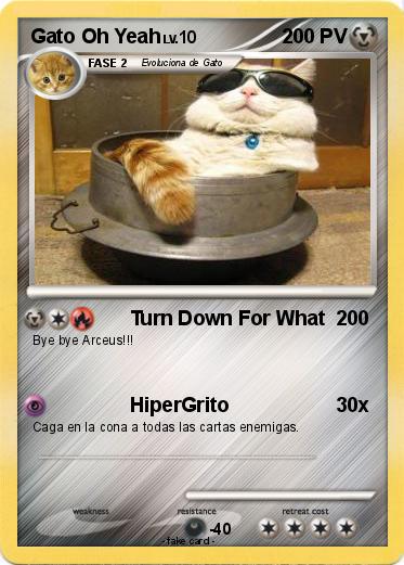 Pokemon Gato Oh Yeah