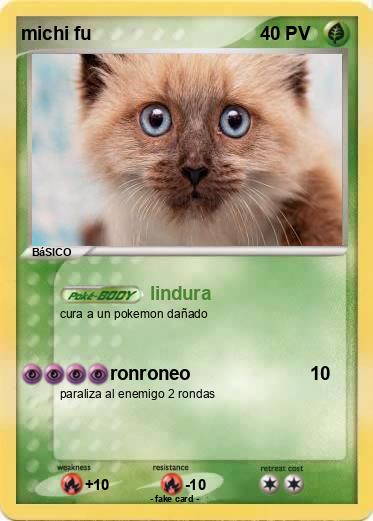 Pokemon michi fu
