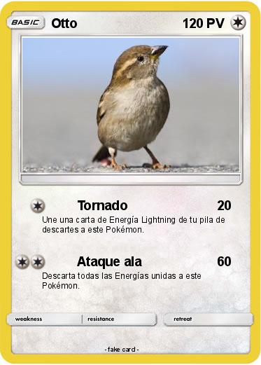 Pokemon Otto