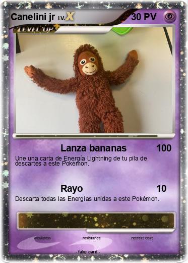 Pokemon Canelini jr