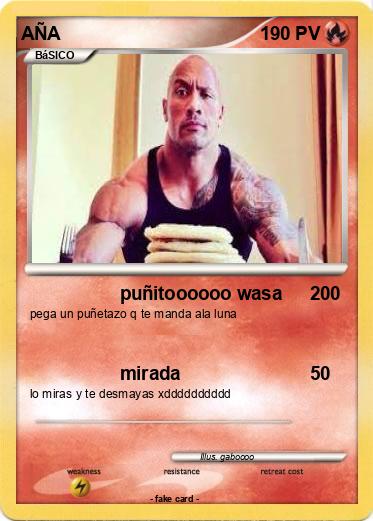 Pokemon AÑA