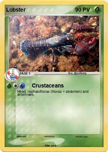 Pokemon Lobster