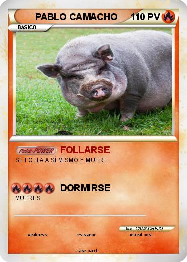Pokemon PABLO CAMACHO