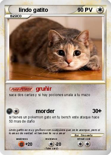 Pokemon lindo gatito