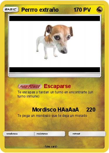 Pokemon Perrro extraño          1