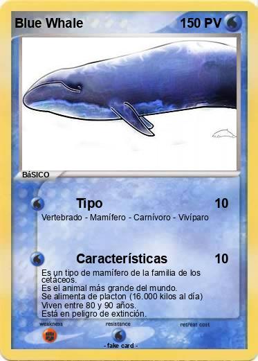 Pokemon Blue Whale