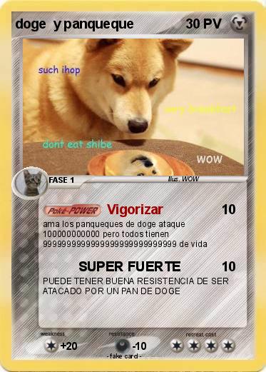Pokemon doge  y panqueque