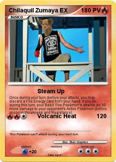 Pokemon Chilaquil Zumaya EX