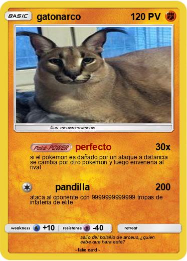 Pokemon gatonarco