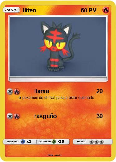 Pokemon litten