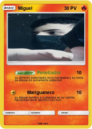 Pokemon Miguel