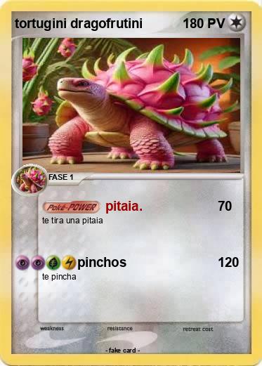 Pokemon tortugini dragofrutini