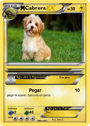Pokemon Cabrera