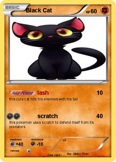 Pokemon Black Cat