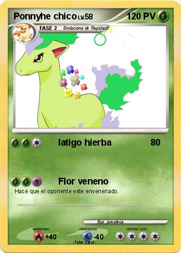 Pokemon Ponnyhe chico