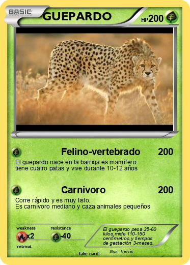 Pokemon GUEPARDO