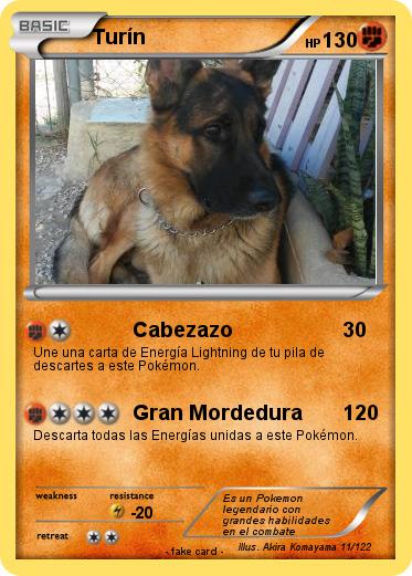 Pokemon Turín