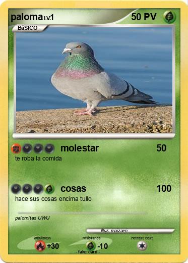 Pokemon paloma