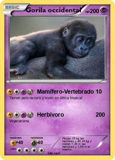 Pokemon Gorila occidental