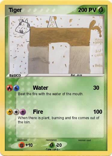 Pokemon Tiger