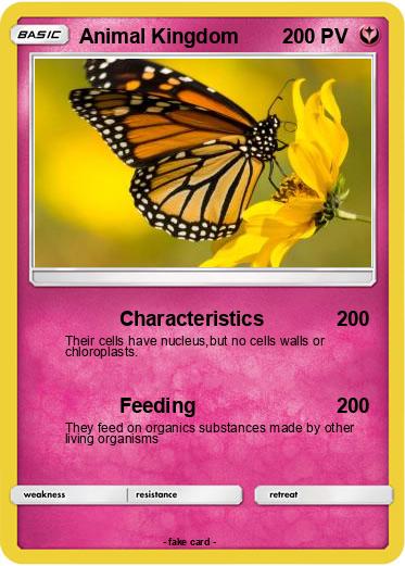 Pokemon Animal Kingdom