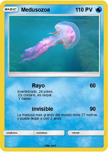 Pokemon Medusozoa
