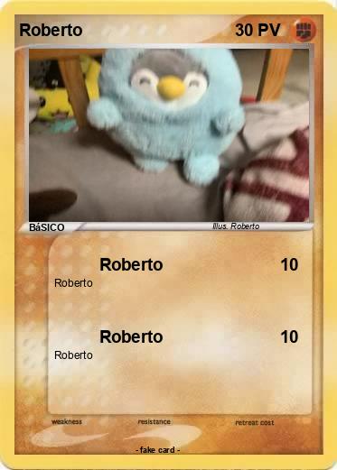 Pokemon Roberto