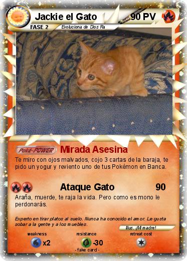 Pokemon Jackie el Gato