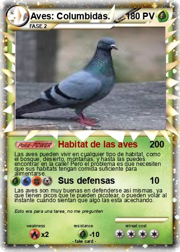 Pokemon Aves: Columbidas.