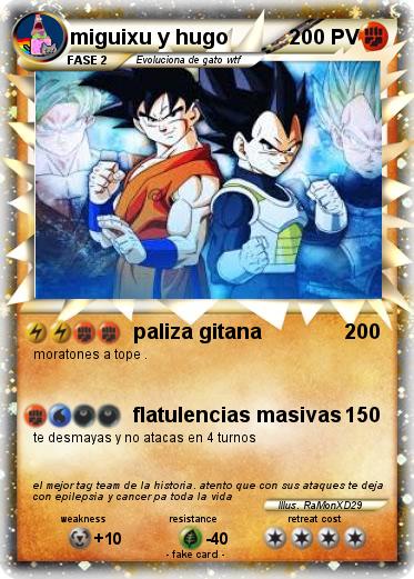 Pokemon miguixu y hugo