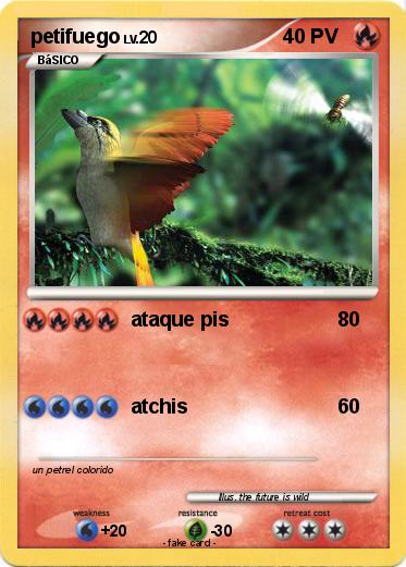 Pokemon petifuego