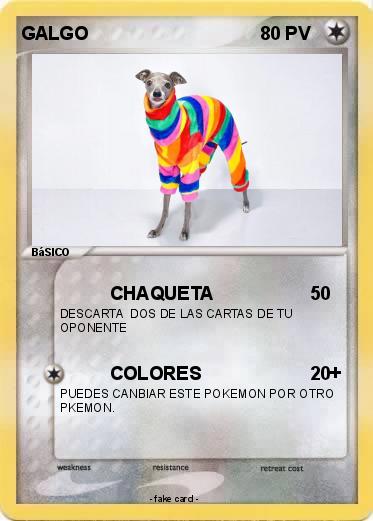 Pokemon GALGO