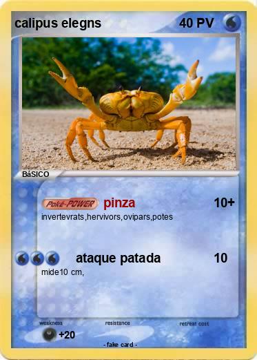 Pokemon calipus elegns