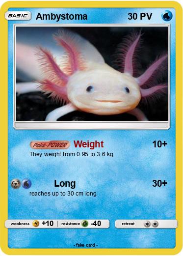 Pokemon Ambystoma