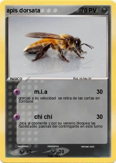 Pokemon apis dorsata