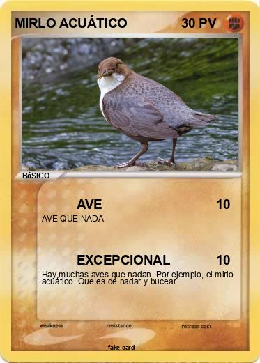 Pokemon MIRLO ACUÁTICO