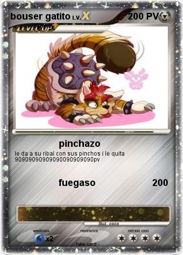 Pokemon bouser gatito