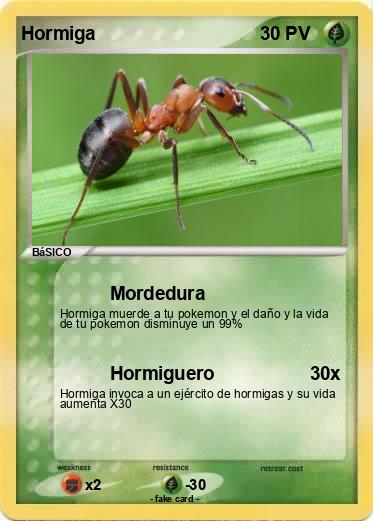 Pokemon Hormiga
