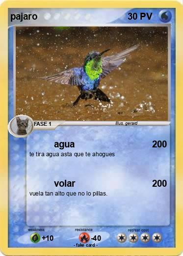 Pokemon pajaro
